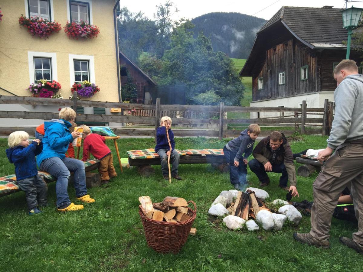 Pichlerhof Sommmercard - Urlaub Am Bauernhof Birnberg ภายนอก รูปภาพ